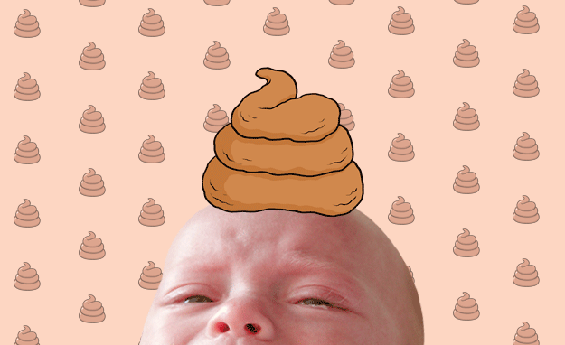 The Definitive Ranking Of Poop